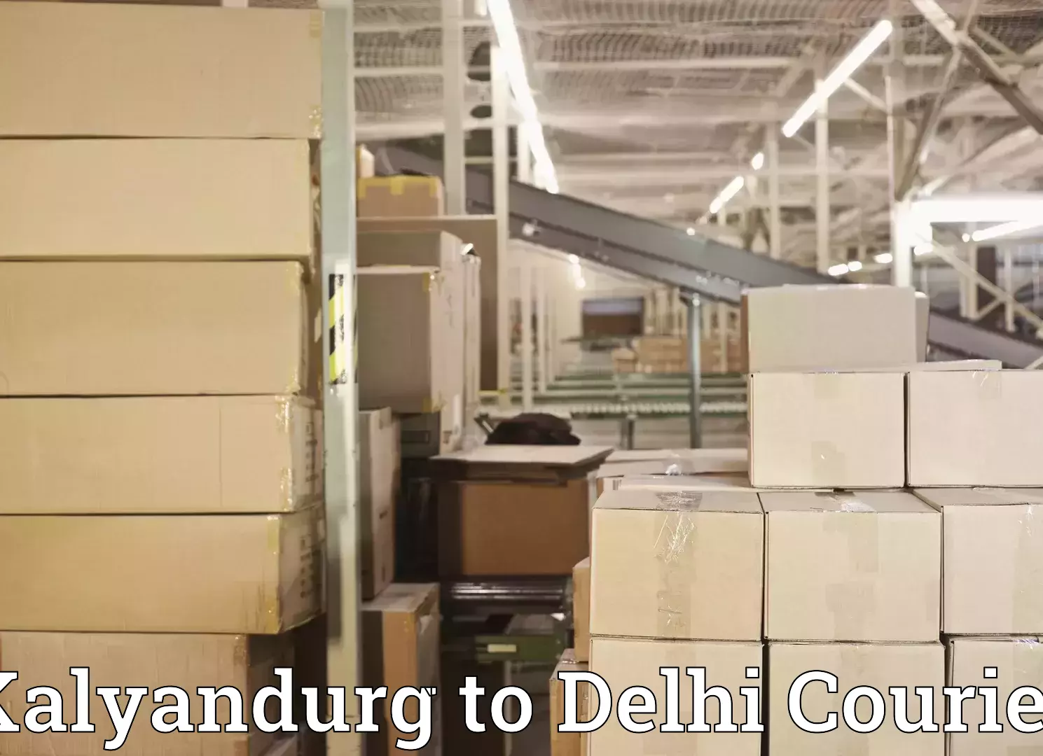 Baggage transport logistics in Kalyandurg to Subhash Nagar