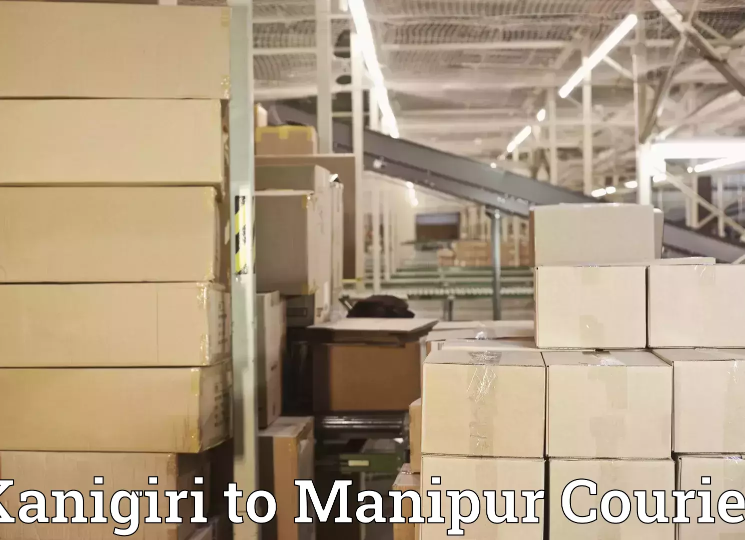 Baggage shipping quotes in Kanigiri to Kaptipada