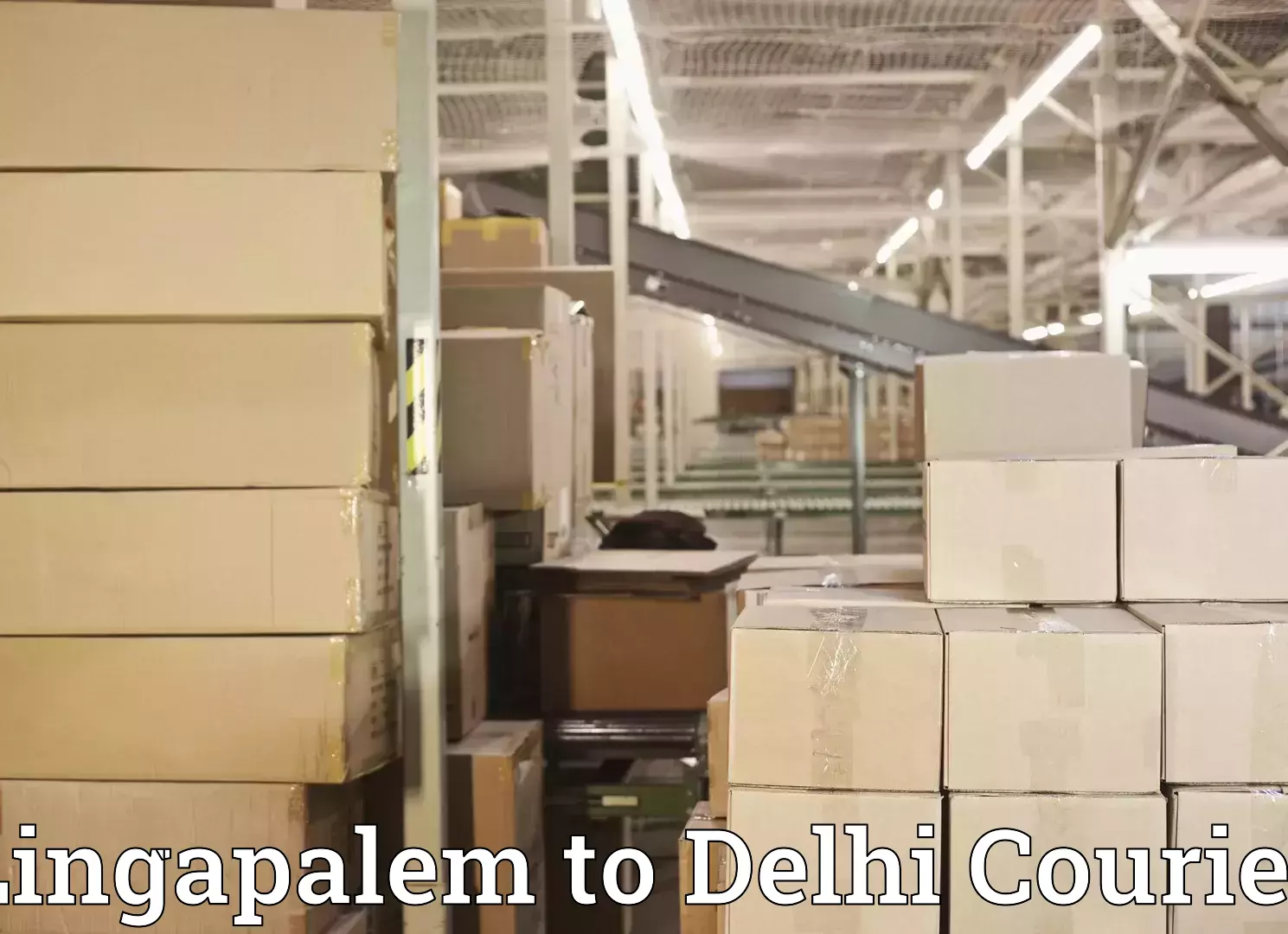 Luggage shipping options Lingapalem to Delhi