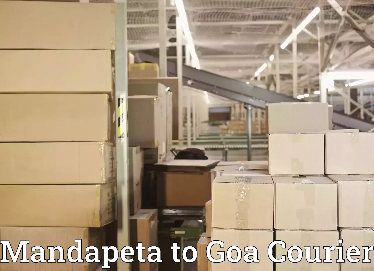 International baggage delivery Mandapeta to Panjim