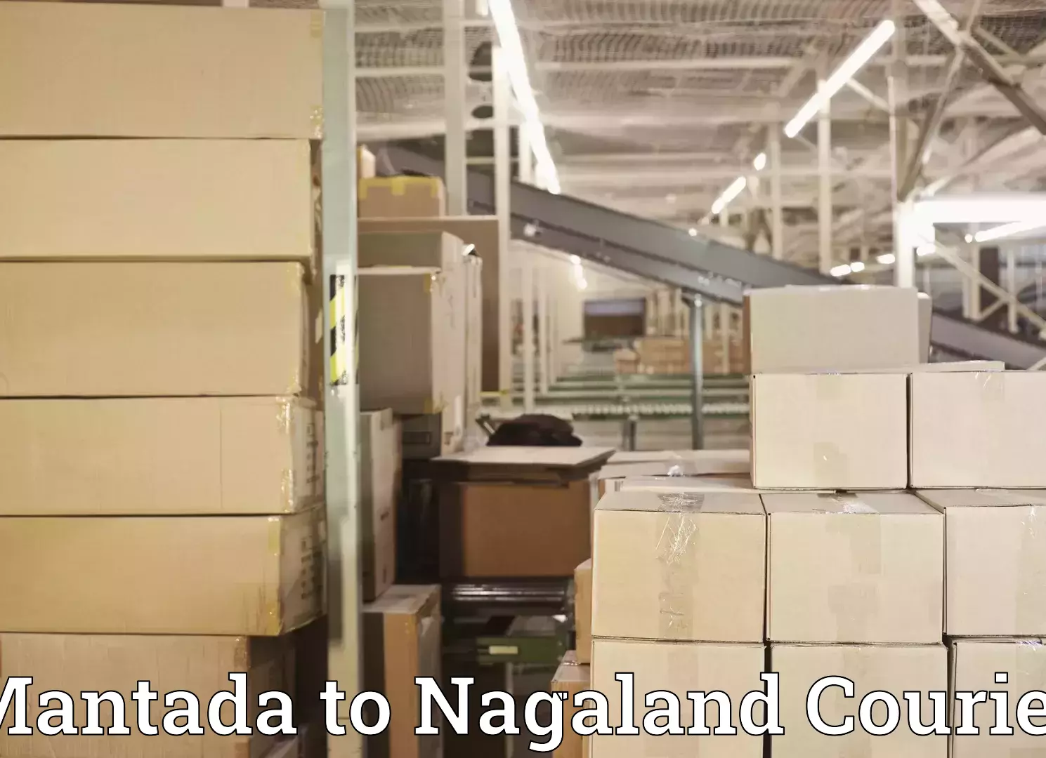 Luggage dispatch service Mantada to Nagaland