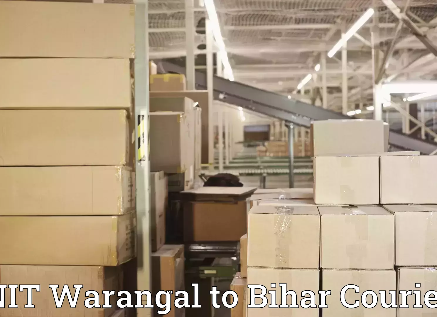 Baggage courier solutions NIT Warangal to Dholi Moraul