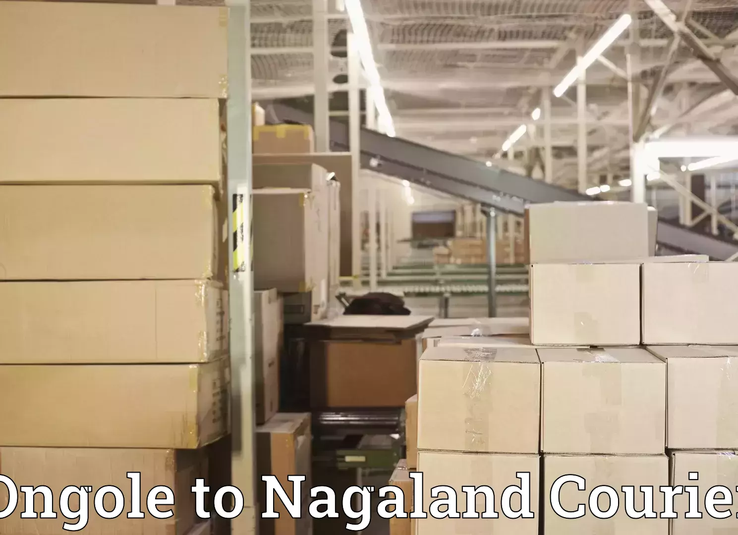 Luggage courier services Ongole to Nagaland