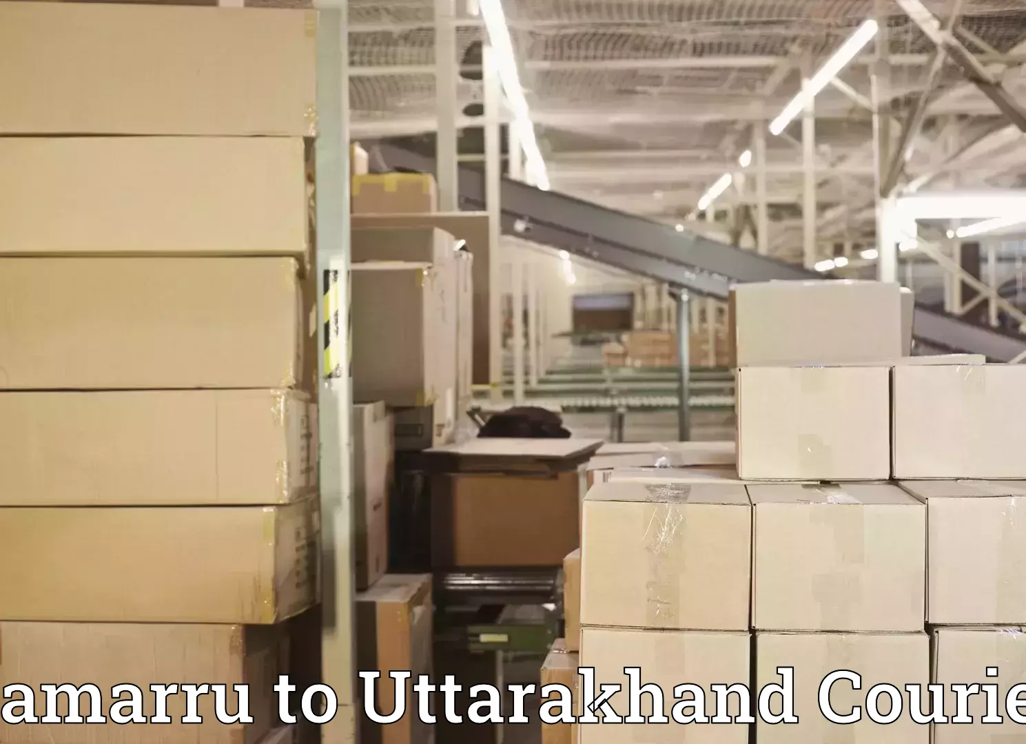 Trackable baggage shipping Pamarru to Haldwani