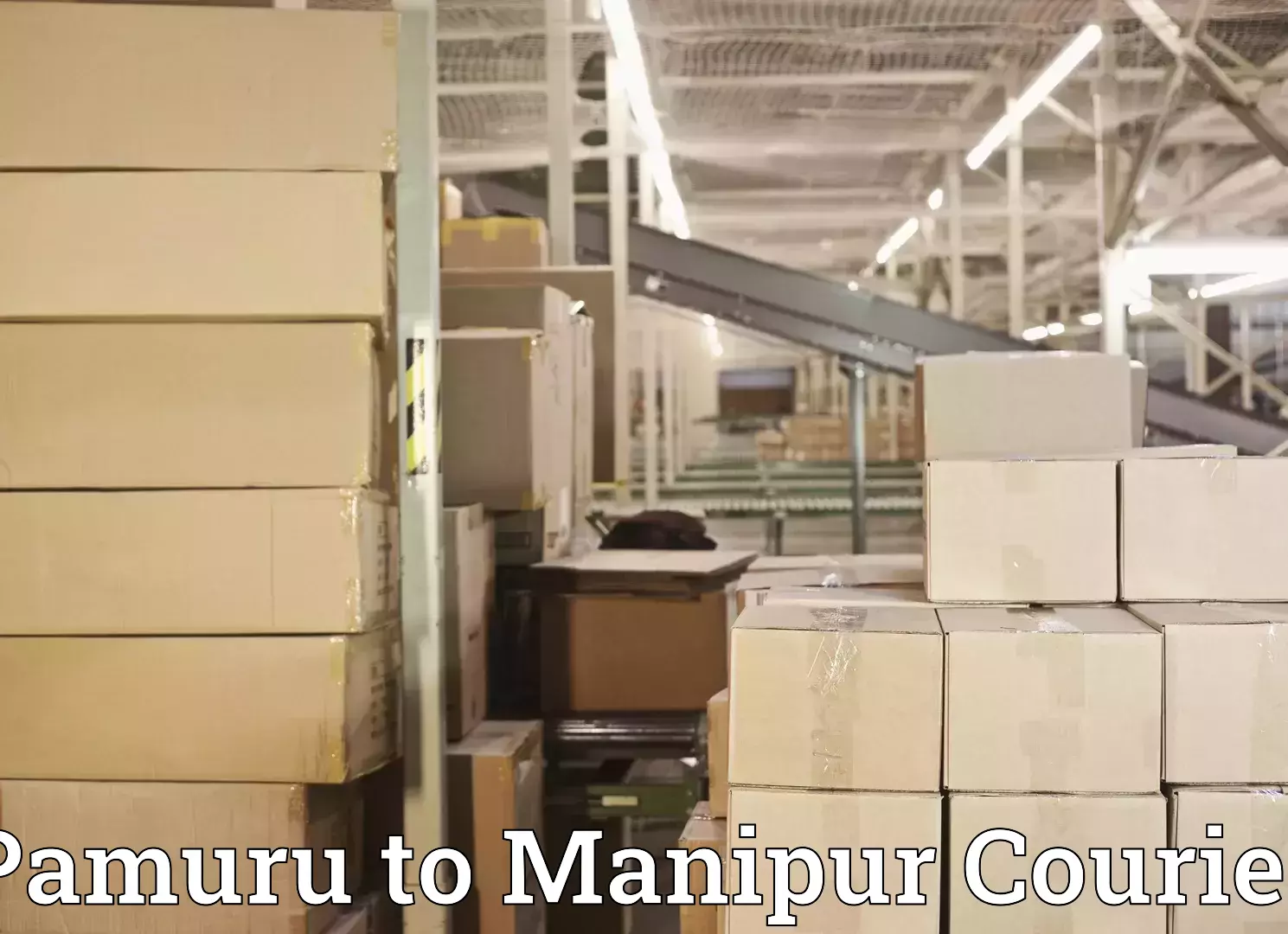 Affordable luggage shipping Pamuru to Manipur