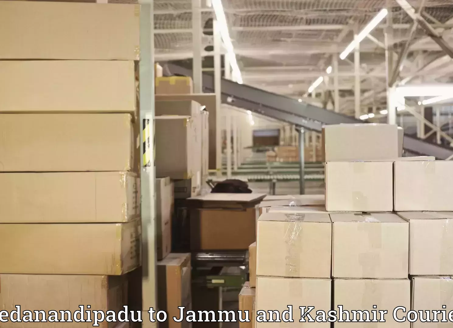 Luggage transport consulting Pedanandipadu to IIT Jammu