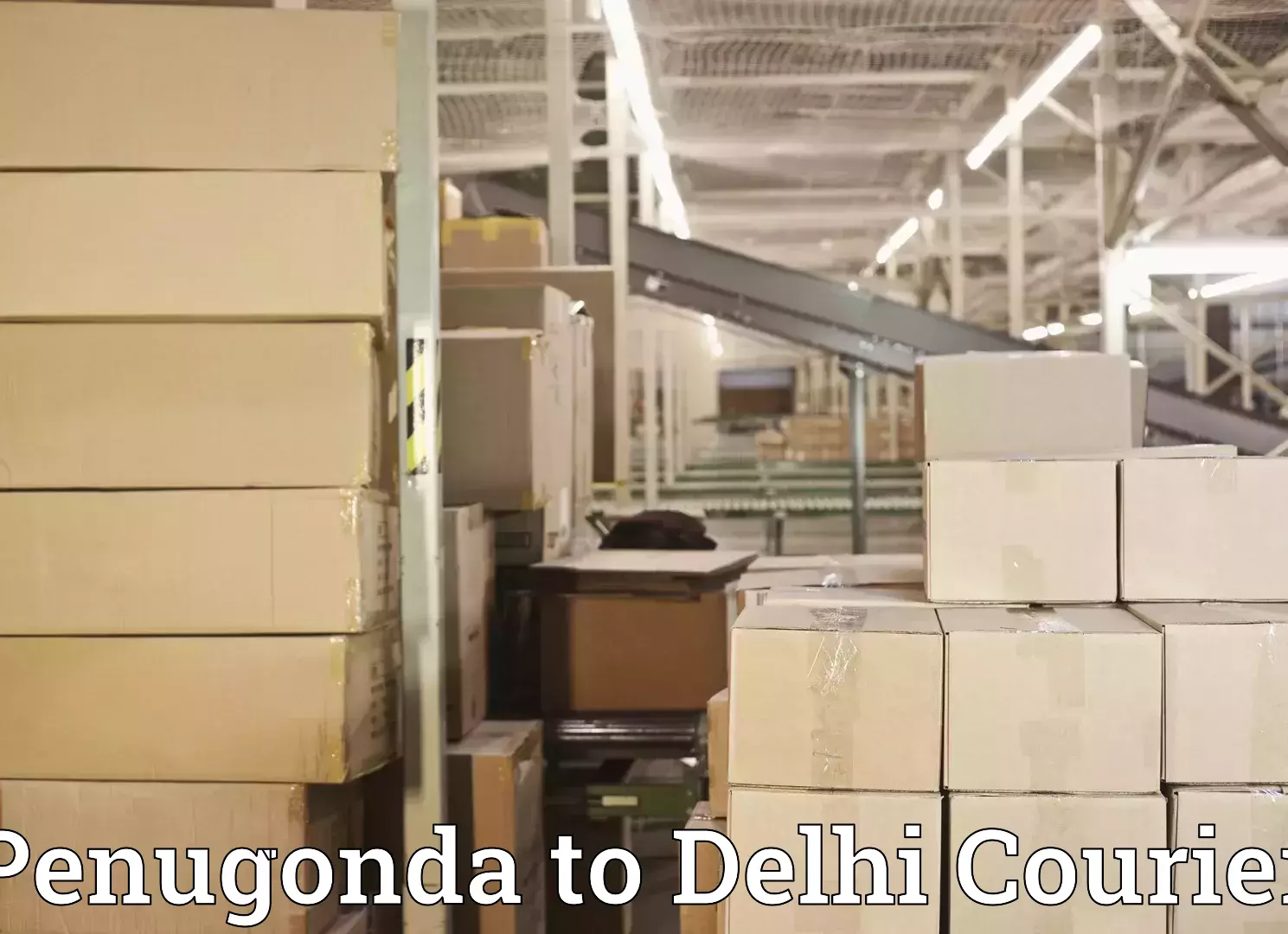 Baggage courier logistics Penugonda to Jamia Hamdard New Delhi