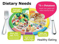 BeyondtheOrdinaryKibble:IdentifyingSpecialDietaryNeeds