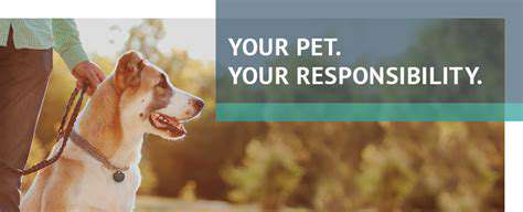 BuildingaHealthyRelationship:ResponsiblePetOwnership
