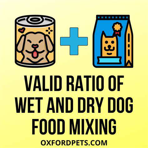 ChoosingtheRightFoodForm:Dry,Wet,oraCombination?