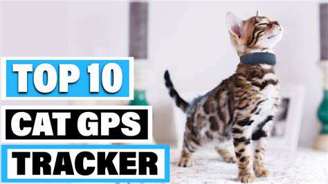 ChoosingtheRightGPSTrackerforYourCat'sNeeds