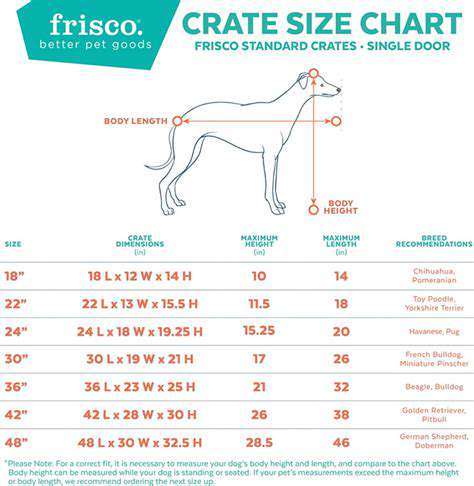 ChoosingtheRightSizeandDesignforYourPet