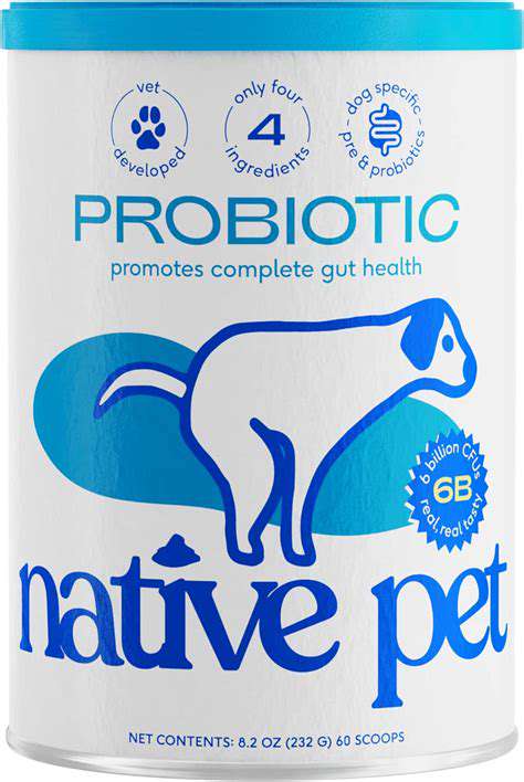 DifferentTypesofProbioticsforPets:ACloserLook