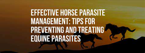 EffectivePreventionStrategiesforParasites