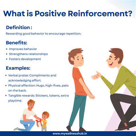 EffectiveStrategiesforPositiveReinforcement