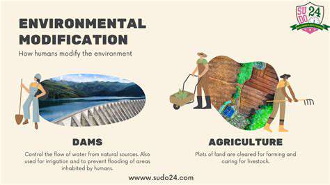 EnvironmentalModificationsforaCalmerAtmosphere