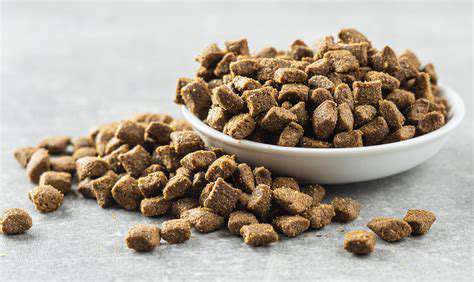 EvaluatingDifferentDryCatFoodBrandsandFormulas