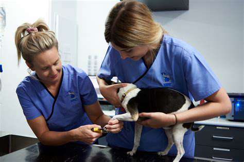 ExploringtheVeterinaryClinic'sServicesandFacilities