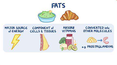 Fats:CrucialforEnergyandAbsorption