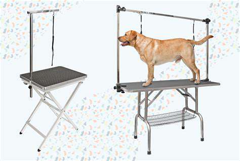 FeaturestoLookforinaHomeGroomingTable