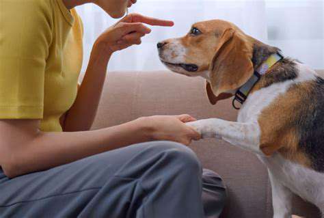 FindingQualifiedProfessionalstoHelpwithDogAggression