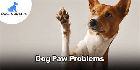 IdentifyingPotentialPawProblems
