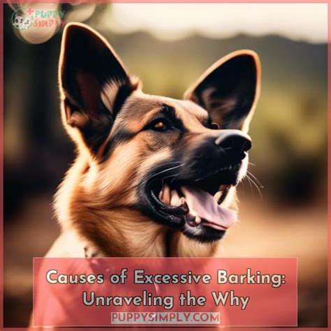 IdentifyingtheRootCausesofBarking