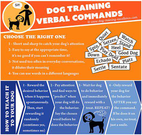 ImplementingAdvancedObedienceCommands:BeyondSit,Stay,andDown