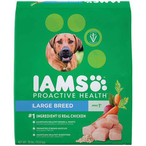 ImportantConsiderationsWhenChoosingDogFoodforLargeBreeds