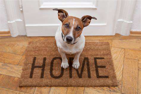 IntroducingYourDogtoTheirNewSpace