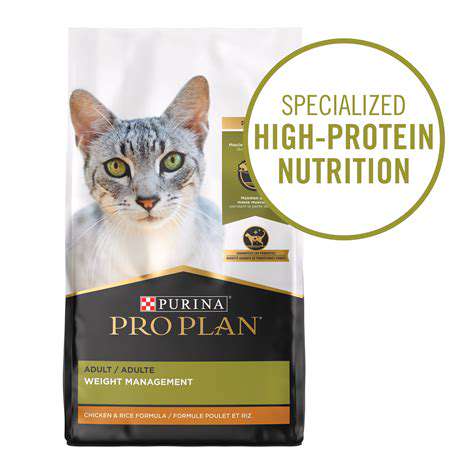 KeyConsiderationsforWeightManagementCatFood