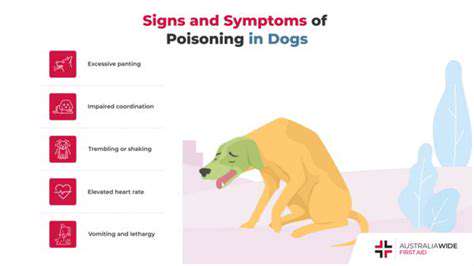Long-TermRecoveryandSupportforPoisonedPets
