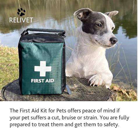 MaintainingandUpdatingYourPetFirst-AidKit