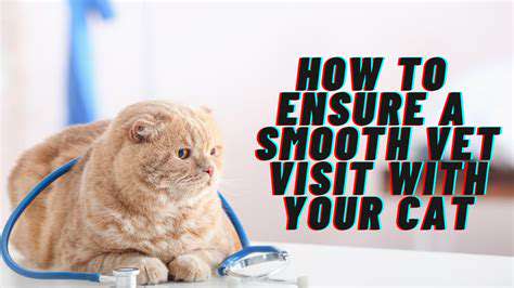 PackingforaSmoothVeterinaryVisit