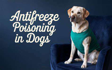 PreventingAntifreezePoisoninginPets:ProactiveMeasures