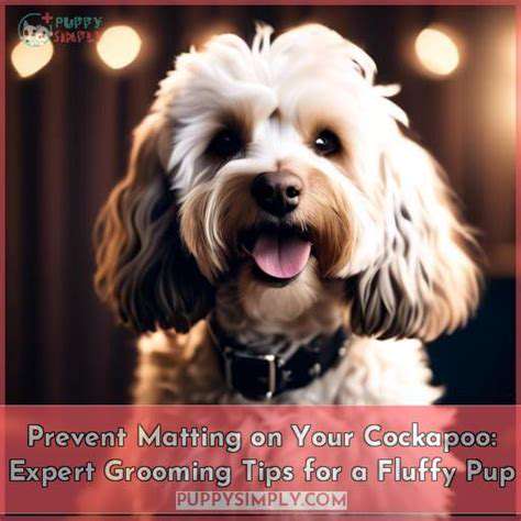 PreventingMatting:GroomingStrategies