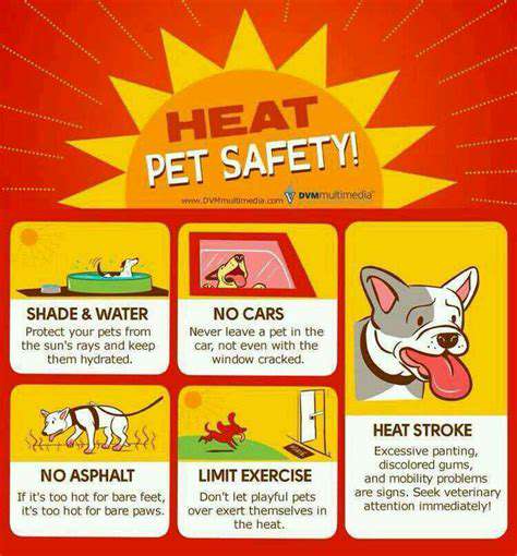 ProtectingYourDogfromOverheatingDuringTravel