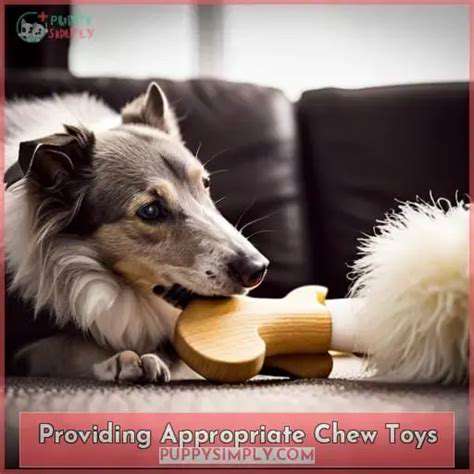 ProvidingAppropriateChewToysandResources