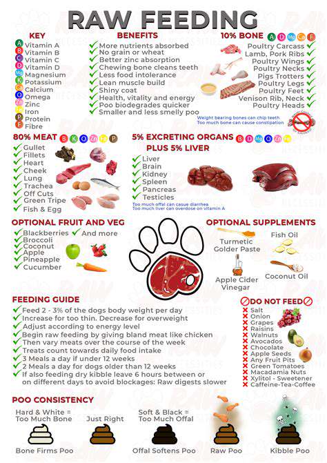 RawFeedingandVeterinaryCare:ACrucialPartnership