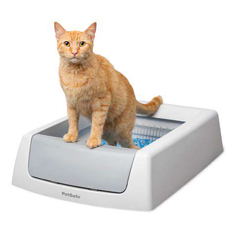 Self-CleaningLitterBoxesforaSpotlessHome