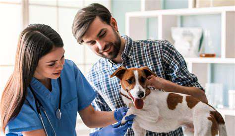 TheImportanceofRegularVetCheckupsandDietaryMonitoring