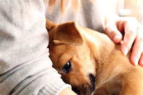 TheRoleofStressManagementinPetPain