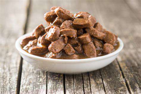 TopRecommendedWetDogFoodBrandsandVarieties