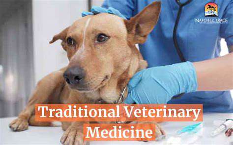 TraditionalVeterinaryMedicineasaFoundation
