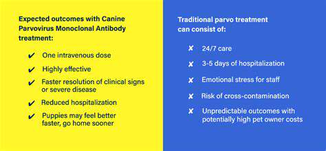 TreatmentOptionsforParvovirus
