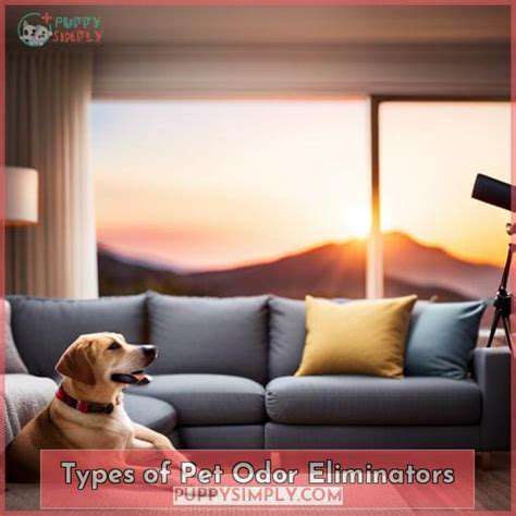 TypesofPetOdorEliminators