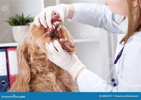 VisualClues:ExaminingYourPet'sMouth