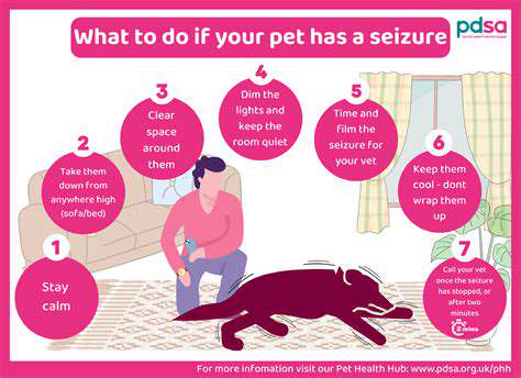 WhatarePetSeizures?