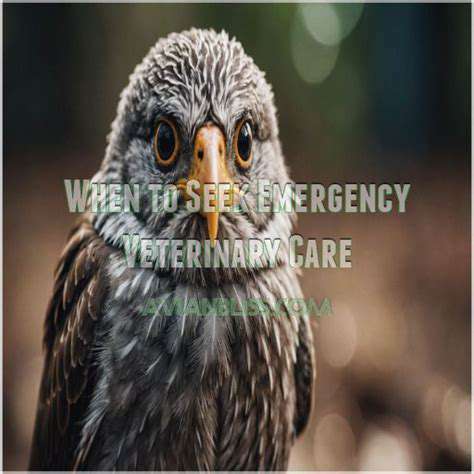 WhentoSeekImmediateVeterinaryCare