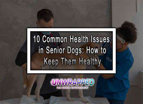 AddressingPotentialSeniorDogHealthConcerns